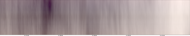 specMACS quicklook