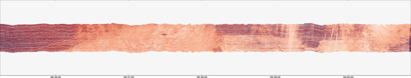 specMACS quicklook